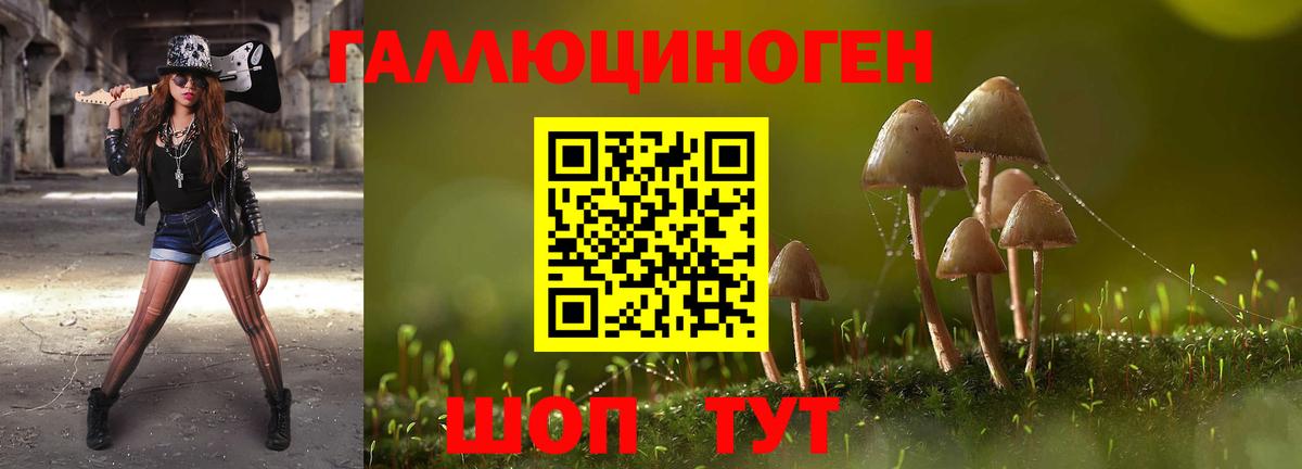 Псилоцибиновые грибы прущие грибы  Вход с VPN  Будённовск 